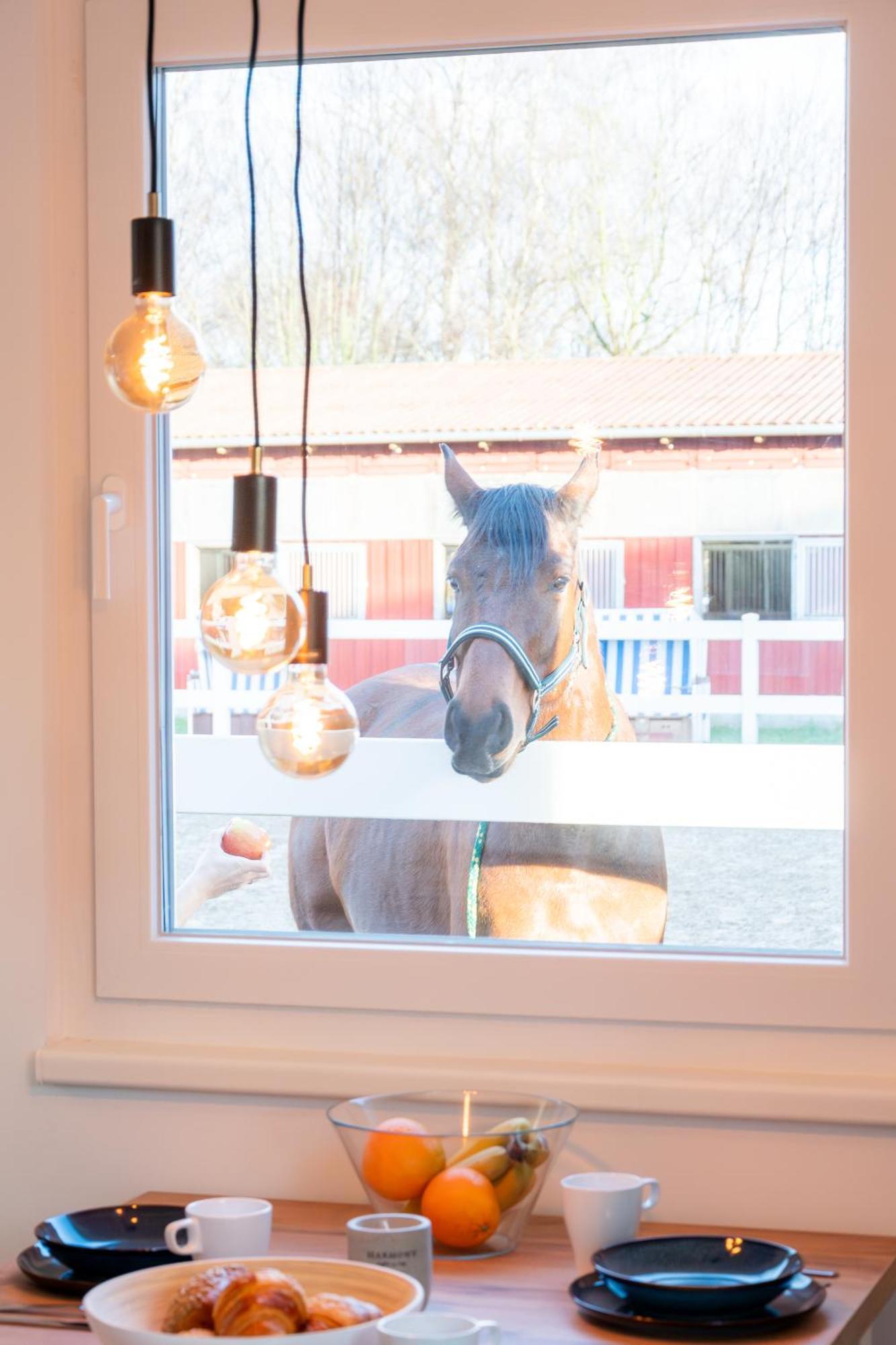 Ferienwohnungen Reiterhof Boltenhagen Екстериор снимка